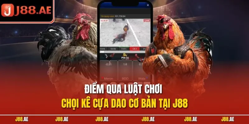 Điểm qua luật chơi chọi kê cựa dao cơ bản tại J88