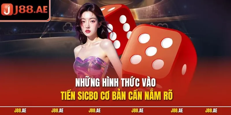 Những hình thức vào tiền Sicbo cơ bản cần nắm rõ